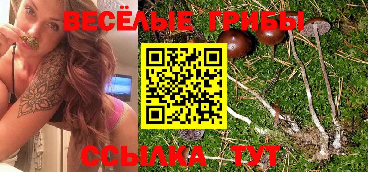 Галлюциногенные грибы Psilocybe  Вход с VPN  Джанкой  Псилоцибиновые грибы Psilocybine cubensis 